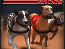 Greyhound Racing